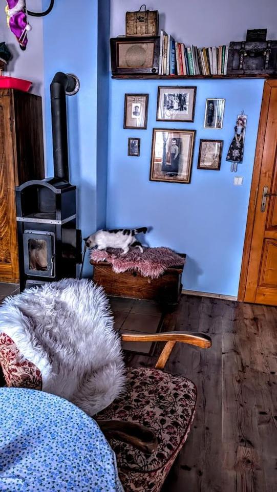 Chalupa Sonja Lúčky Exteriér fotografie